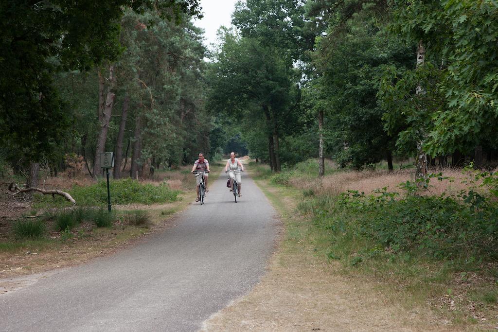 Vakantiecentrum De Ullingse Bergen Sint Anthonis Kültér fotó